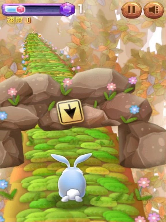 Изображение игры: Rabbit Run Run Run!