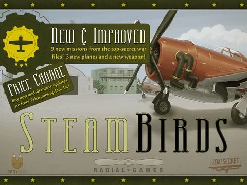 Изображение игры: SteamBirds HD