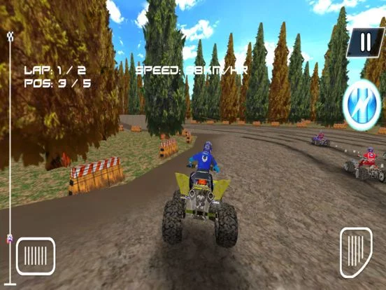 Изображение игры: ATV Dirt Bike Rider