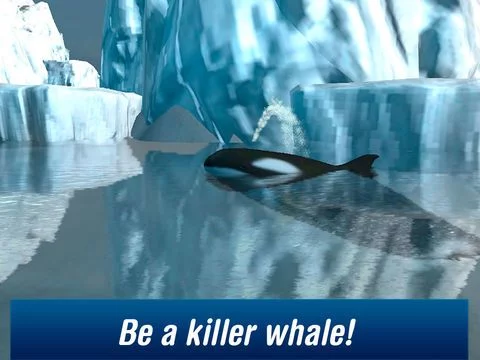 Изображение игры: Killer Whale: Orca Simulator 3D Free