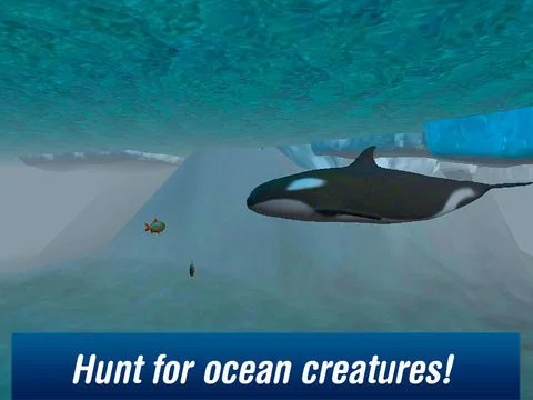 Изображение игры: Killer Whale: Orca Simulator 3D Free
