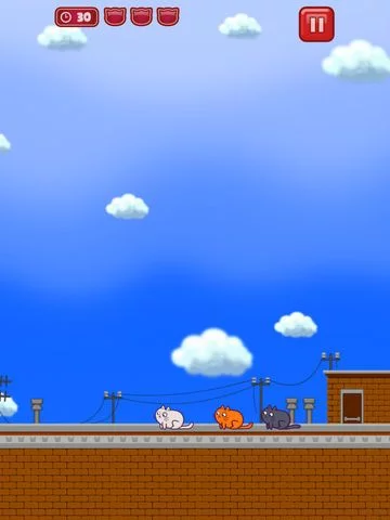 Изображение игры: Cats vs Birds