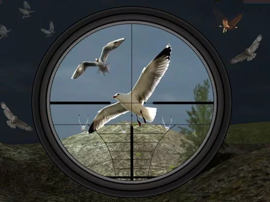 Изображение игры: Birds Hunting - Clay Hunt Pro
