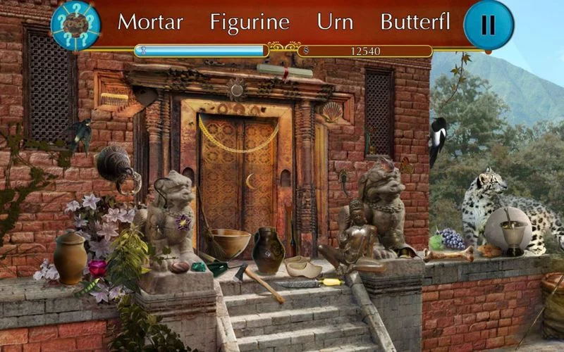 Изображение игры: Hidden Object: Himalayan Mysteries