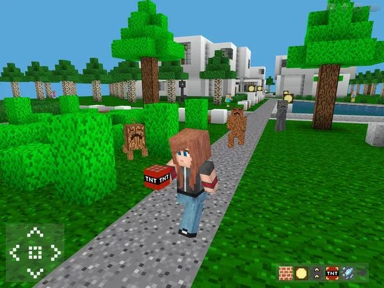 Изображение игры: Kidblock