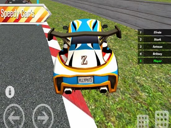 Изображение игры: Extreme Driver Racing