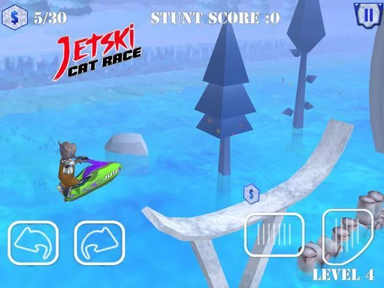 Изображение игры: Jet Ski Cat Race