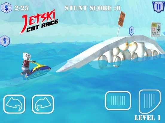 Изображение игры: Jet Ski Cat Race