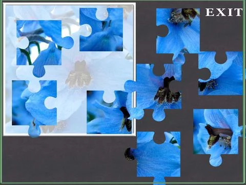 Изображение игры: A Flower Puzzle Game - Free