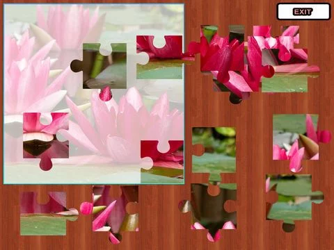Изображение игры: Big Jigsaw Puzzle Level Set - Free
