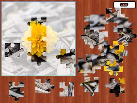 Изображение игры: Big Jigsaw Puzzle Level Set - Free