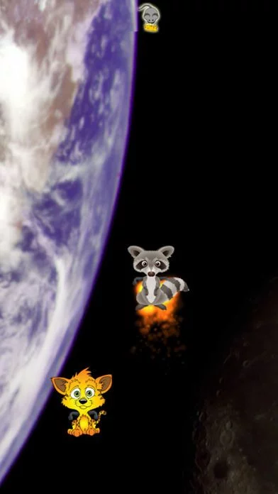 Изображение игры: Cat vs Raccoon