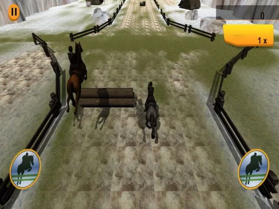 Изображение игры: Amazing Horse Riding