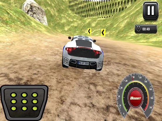Изображение игры: Adventures Car Rally Stunts