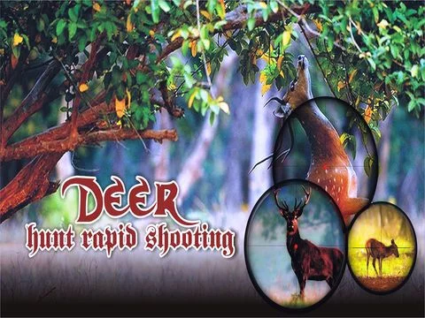 Изображение игры: Deer Hunt Rapid Shooting