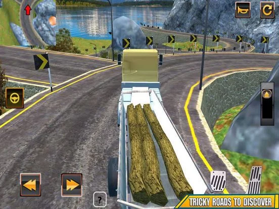 Изображение игры: Truck Driver Cargo Master 2018