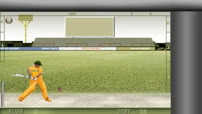 Изображение игры: Swing Cricket 2