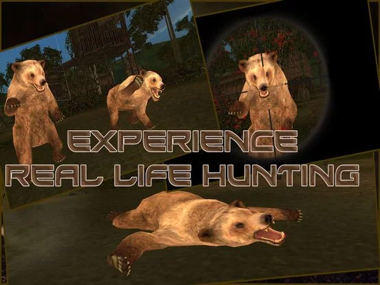 Изображение игры: Wild Bear Hunter 2016: Jungle Beast Hunting Simulation 3d: full fun free game