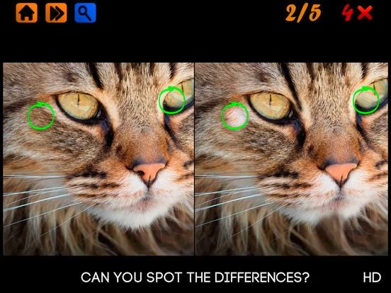 Изображение игры: Spot the Differences 100