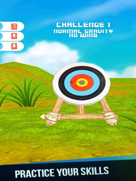 Изображение игры: Real Archer Experience