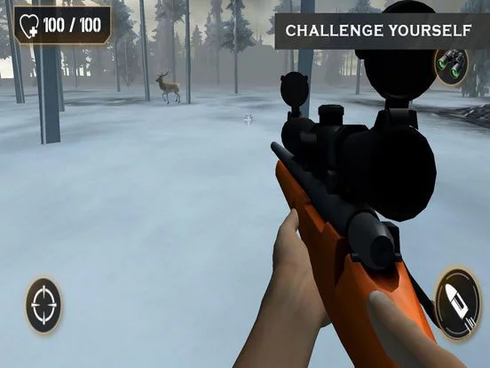 Изображение игры: Wild Shooting Expert