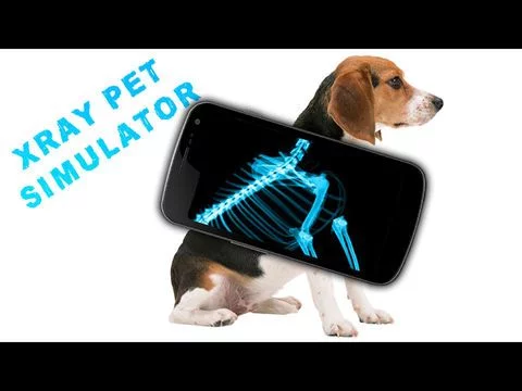 Изображение игры: Simulator X-Ray Pet