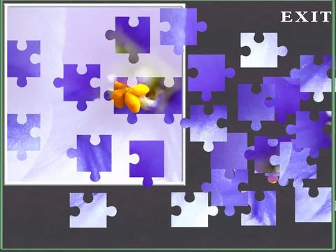 Изображение игры: A Flower Puzzle Game