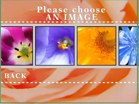 Изображение игры: A Flower Puzzle Game