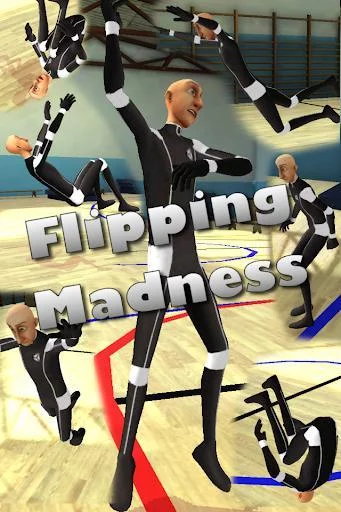 Изображение игры: Flipping Madness