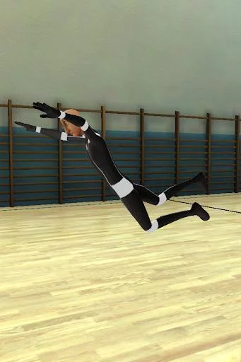 Изображение игры: Flipping Madness