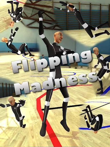 Изображение игры: Flipping Madness