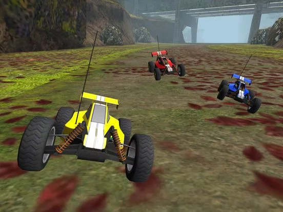 Изображение игры: R/C Car Off-Road Racing- Radio Controlled Nitro Buggy Simulator Game PRO