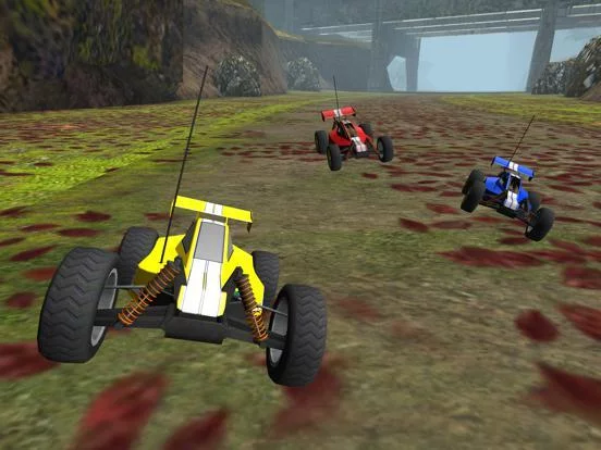 Изображение игры: R/C Car Off-Road Racing- Radio Controlled Nitro Buggy Simulator Game PRO