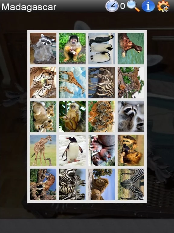 Изображение игры: Real Madagascar