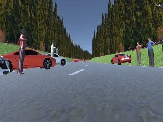 Изображение игры: 3D Car Race