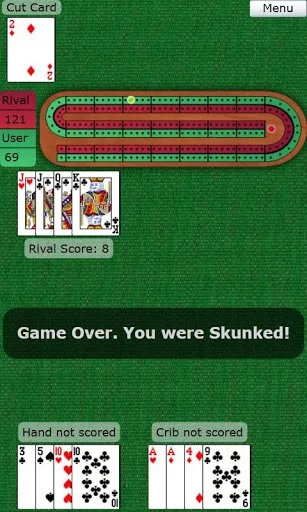 Изображение игры: BTO Cribbage