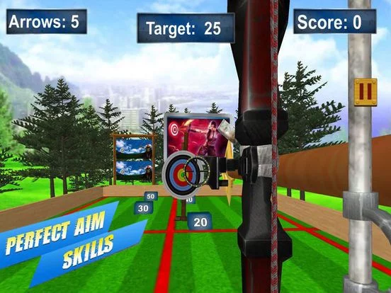 Изображение игры: Archery Target Master Pro