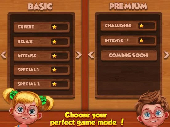 Изображение игры: Wood Block Puzzles