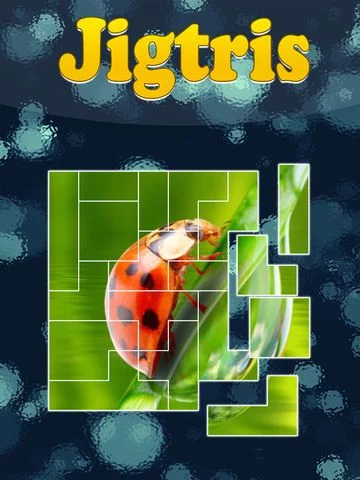 Изображение игры: Jigtris Puzzle