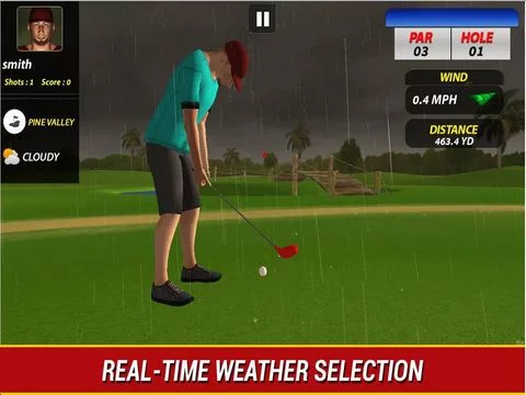 Изображение игры: Professional Golf Play - Pro