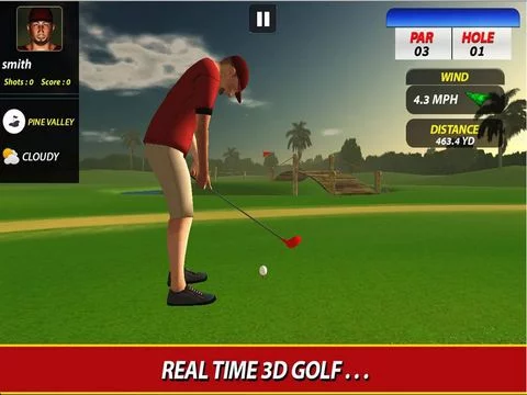 Изображение игры: Professional Golf Play - Pro
