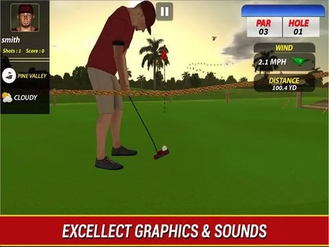Изображение игры: Professional Golf Play - Pro