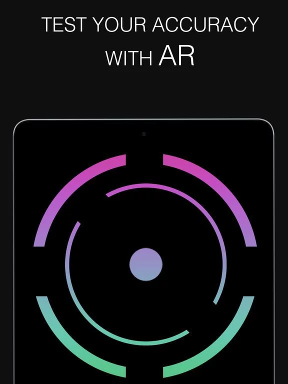 Изображение игры: AccurARcy