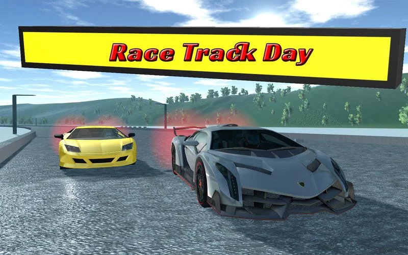 Изображение игры: Race Track Day