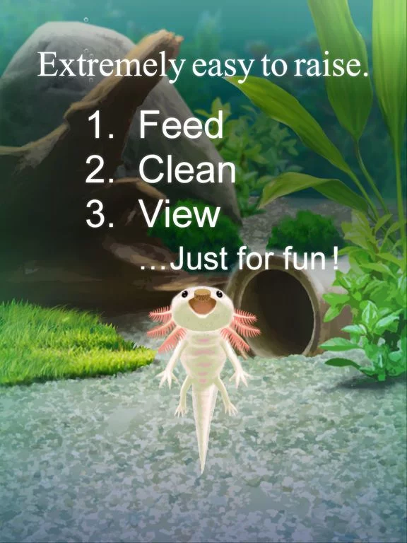 Изображение игры: Virtual Therapeutic Axolotl Pet