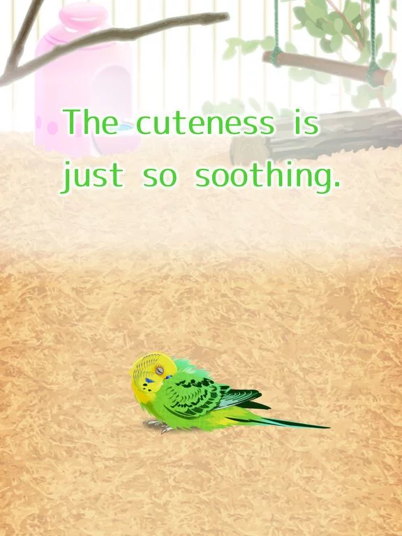 Изображение игры: Virtual Therapeutic Parakeet Pet