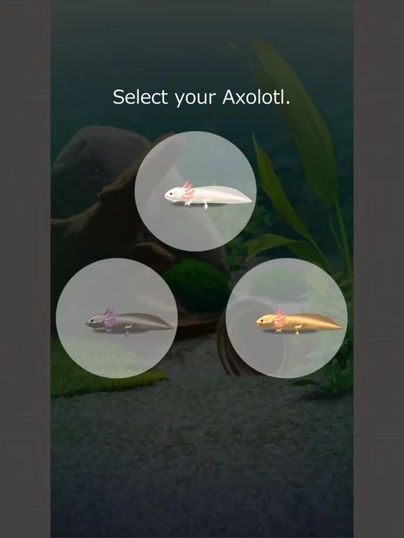 Изображение игры: Virtual Therapeutic Axolotl Pet
