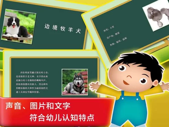 Изображение игры: 宝宝认知巴士早教免费游戏 － 儿童识字名犬乐园