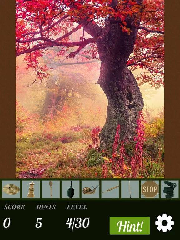 Изображение игры: Hidden Object - Autumn Leaves