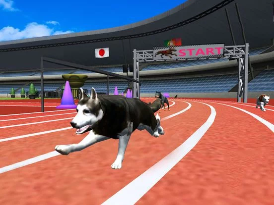 Изображение игры: Crazy Racing Dog Simulator